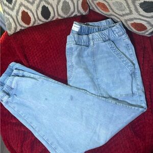 Lane Bryant boyfriend joggers